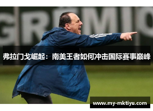 弗拉门戈崛起:南美王者如何冲击国际赛事巅峰 弗拉门戈崛起:南美王者如何冲击国际赛事巅峰