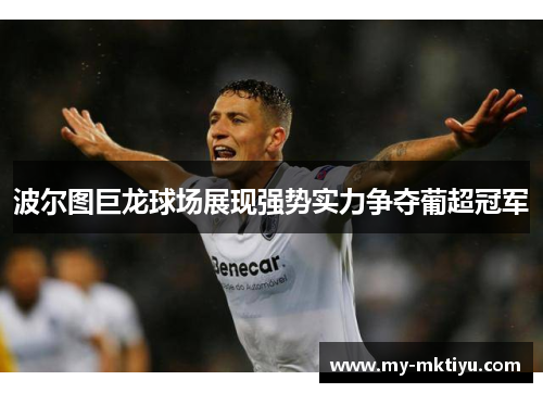波尔图巨龙球场展现强势实力争夺葡超冠军